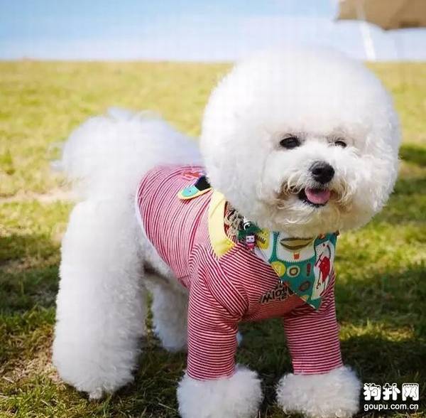 Ϊʲô�ļ��ǹ���Ƥ�����߷�����