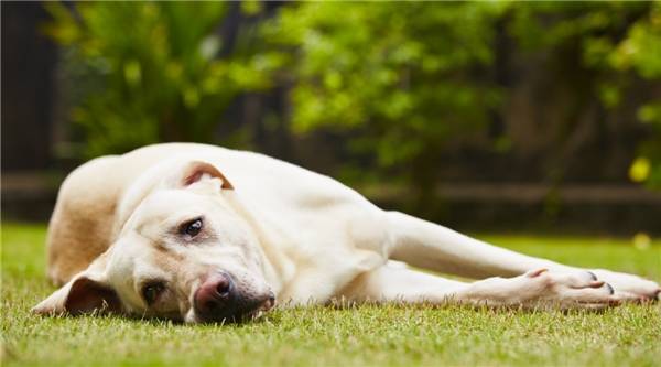 皮肤病多发季来啦! 皮肤病多发季来啦!
