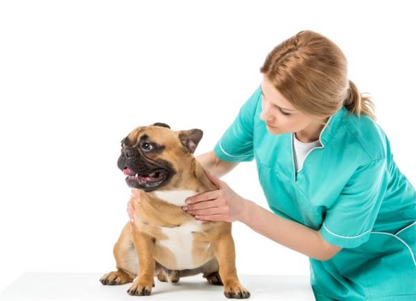 皮肤病多发季来啦! 皮肤病多发季来啦!