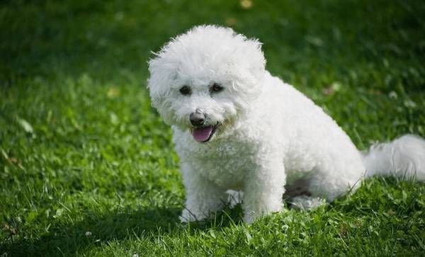 ������Ȯ����ʱ���⼸��������������ѧ