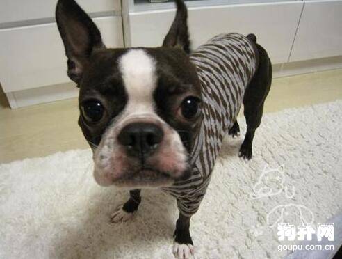 ���ֱ�ѧ����Ȯ����ʱ�估��������ҩ�۸�!