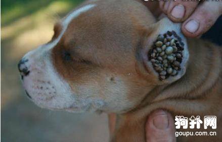 ��Ч���ƹ����ķ���