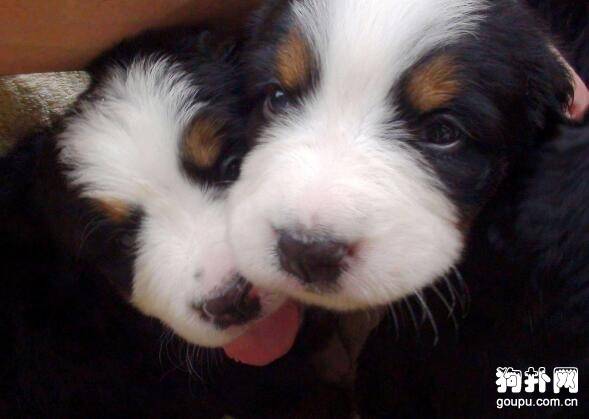 ����ע�������û�о�����ô�죬������