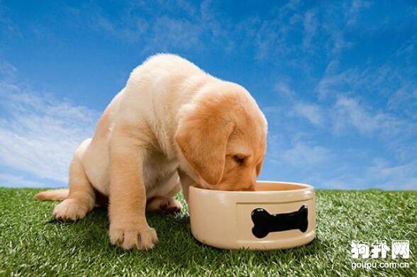 �����������ڼ��ܳ����𣿹�����������������