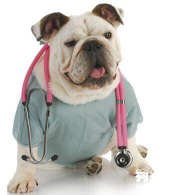 ���������������֪������