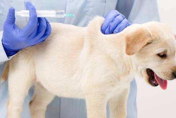 �����������Ǯһ�룬��ô�һ��