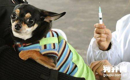 ���������Ȯ���������,����Щ����