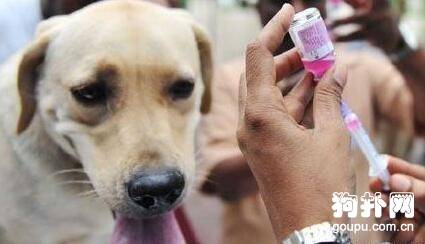 ֻ�й�����Ҫ����ע���Ȯ����������������Ҫ��