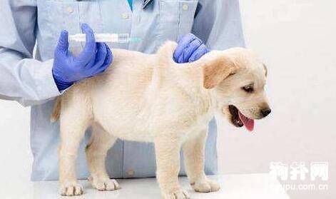 ΪʲôҪ�����������磿����������ע������