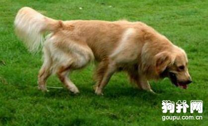 ������Ҫע���������������Щ