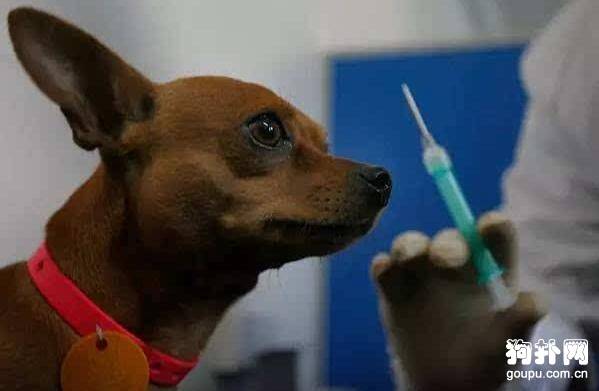 ��θ��������Ȯ���磬3��ע�������ر�ע�⣡