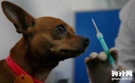 ��ȷ������������ķ����ͷ���