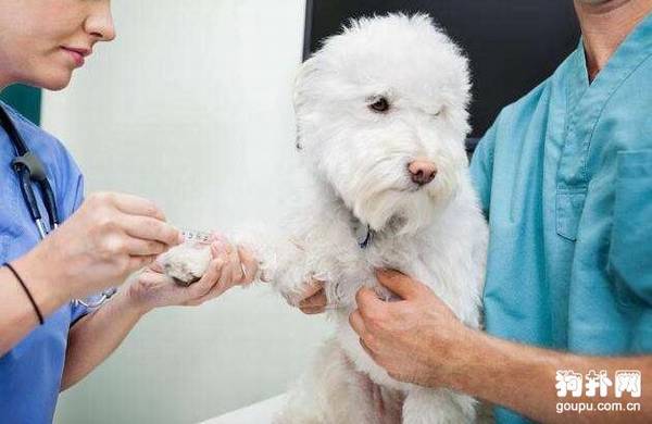 ���ע���Ȯ���磬�ҳ����ò�ѧ�ļ�����ʶ