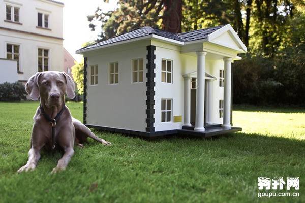 ���ѶԹ���������