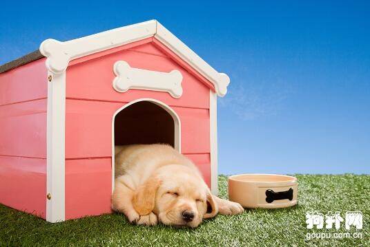 ��δ���һ����ܰ������С����