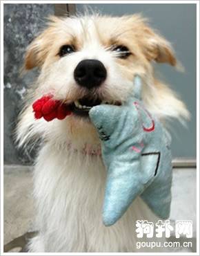 ѵ����������ߵĲ���󹫿�