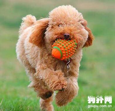 diy�����ɹ�����˺ҧ�����