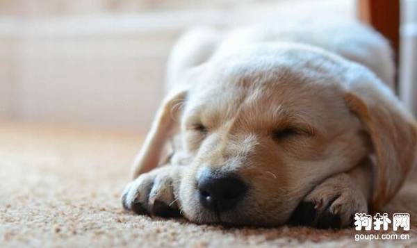 ѧ�����ĵ㼼�ɣ������ù��������ַǳ�������