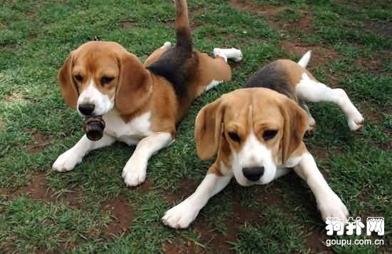 ѵ�����������ֵļ�ʱ��Ӧ