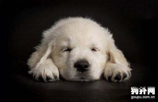 ѧ�������⼸�㣬����ȡ�������Ĺ������֣�