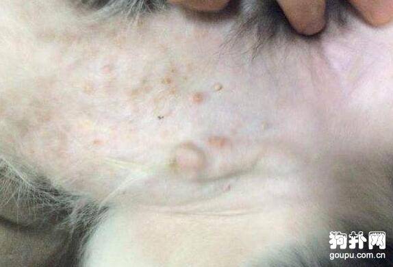 �����������没ͨ��������Щ֢״��