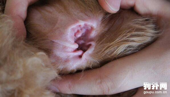 �������������Ĵ�ʩ�ͷ���