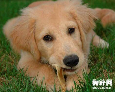 �������˶�����ô��,�������������Ʒ���