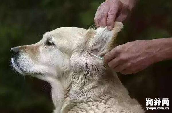 ������ƹ���������6��С���Ű����æ��