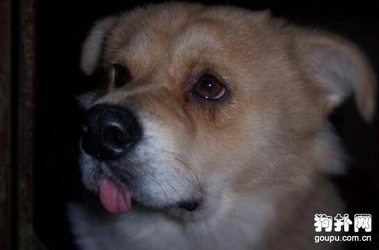 ��������ô�Σ��⼸�ַ�����������