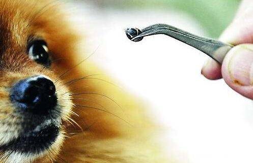 ���������湷��3��С���о͸㶨��