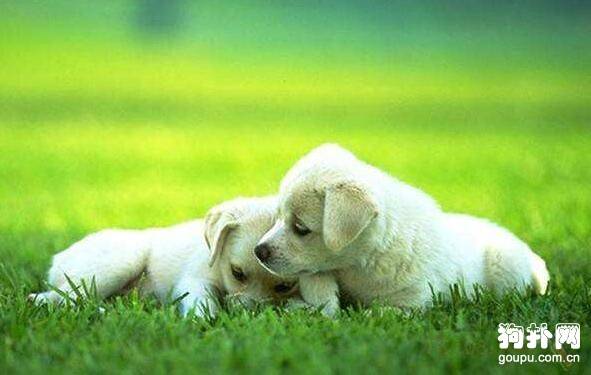 ��Ȯ����ҩʹ�÷�����ע������!