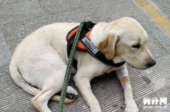 �������ϸС������6������Ҫ���Σ�