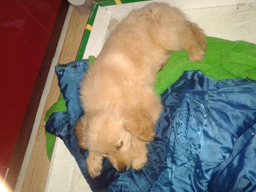 ����ϸС��ʲô֢״��