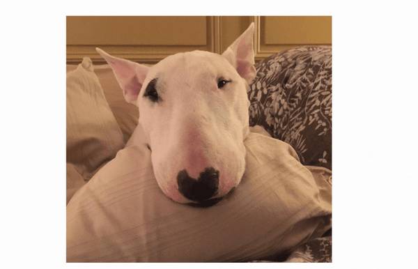 ����ð��ʲôҩ��