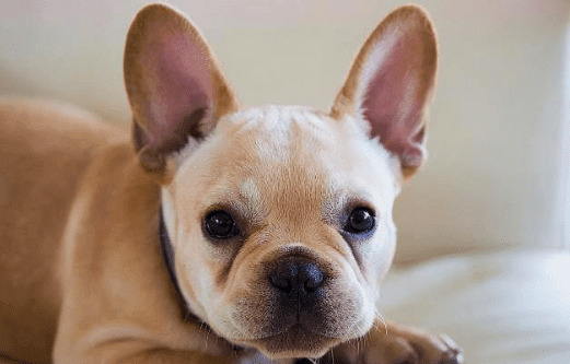 ����ð��ʲôҩ��