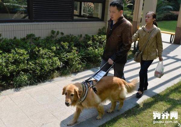 ��äȮ����Ǯһֻ������۸��ܽ�����