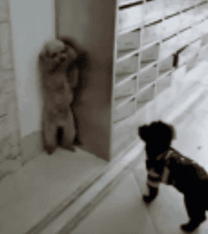 ���ܡ���ϲ�����鷳����5��С�������˼������Ծ��첻�µز�����