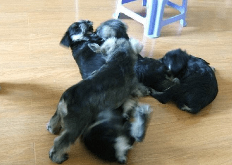 ���ܡ���ϲ�����鷳����5��С�������˼������Ծ��첻�µز�����