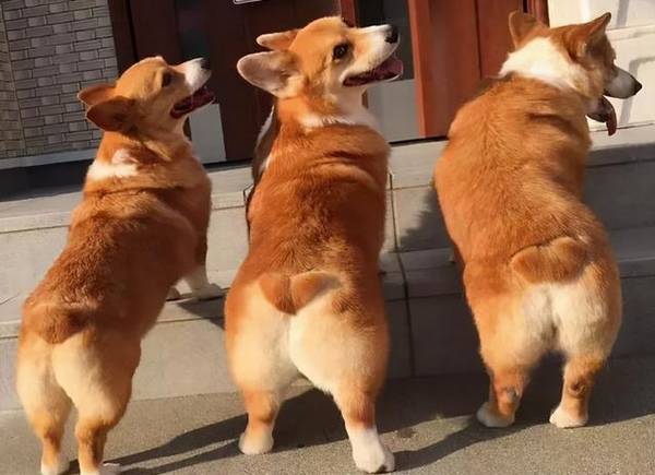 ���Ǵ��֡��»��͡��������»�����ʲô��ͬ��