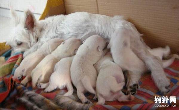 ����ù���������ٻָ���2���ر�ע�⣡