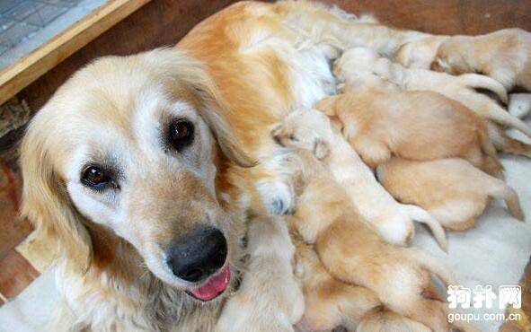 ���������ʲô���̶࣬������С֪ʶ��