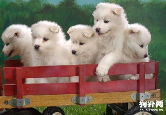 ĸ����ˮ������ô�죿��ʲô�����̣�