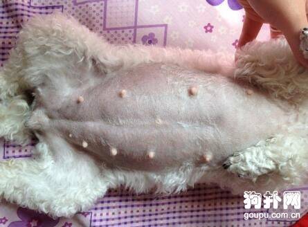 ��Ȯ����ǰע������