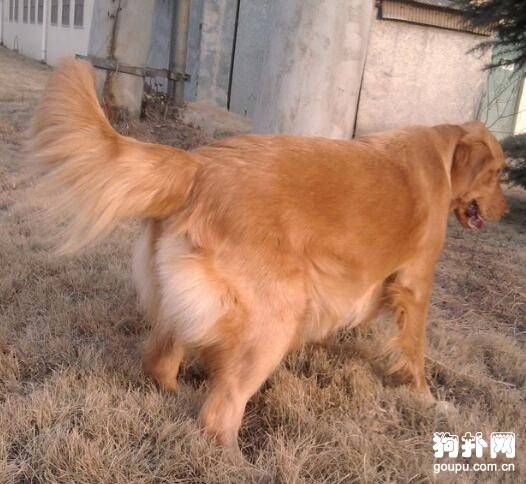 ����ô����Ȯ���̡�����Ȯ�����5������