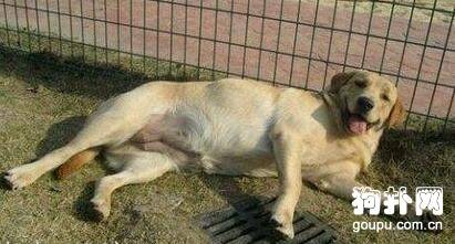 �������鲻����ĸ�������ô����