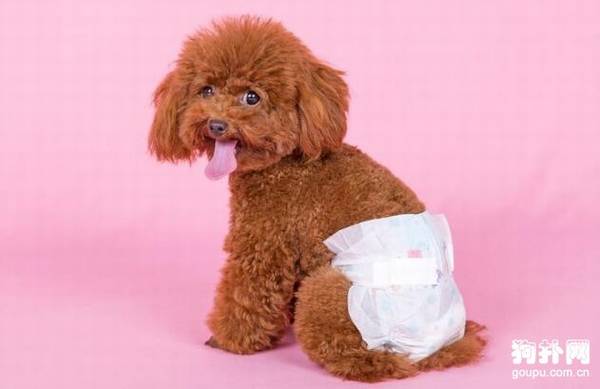 ĸ��Ҳ�����¾��ģ������취���㻤��