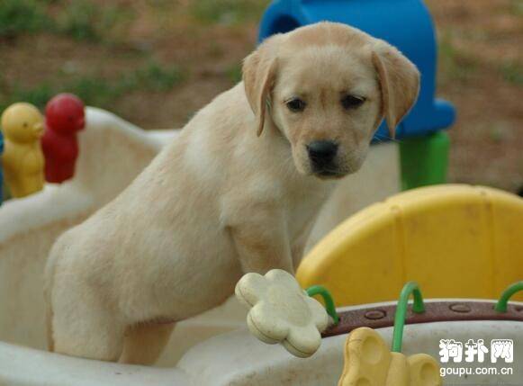 ������ô���֣���Ȼ���д�ѧ�ʣ�