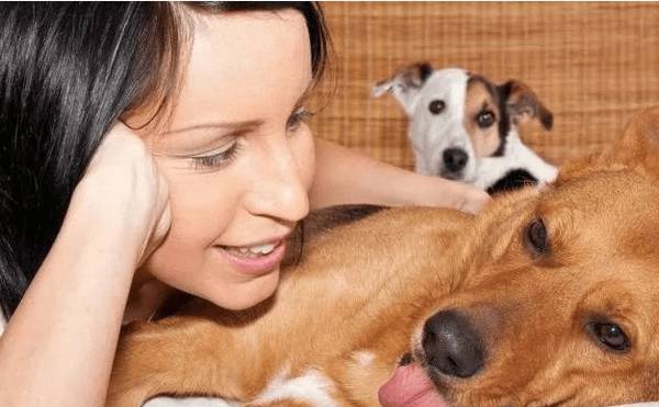 狗狗临产前的这种反映,铲屎官们一定要警醒了! 狗狗临产前的这种反映,铲屎官们一定要警醒了!