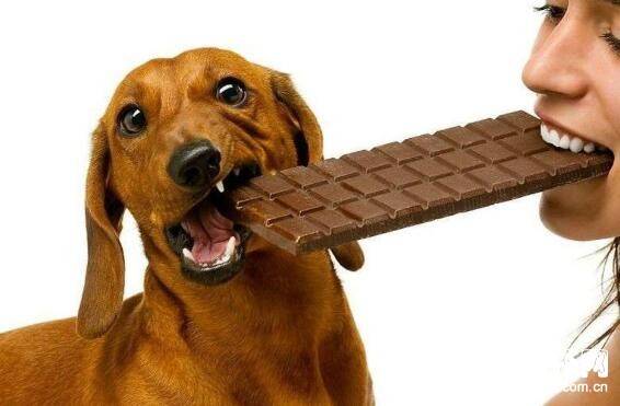 �������ھ��Բ��ܳԵ�10��ʳ��