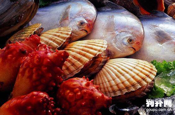 �������ھ��Բ��ܳԵ�10��ʳ��